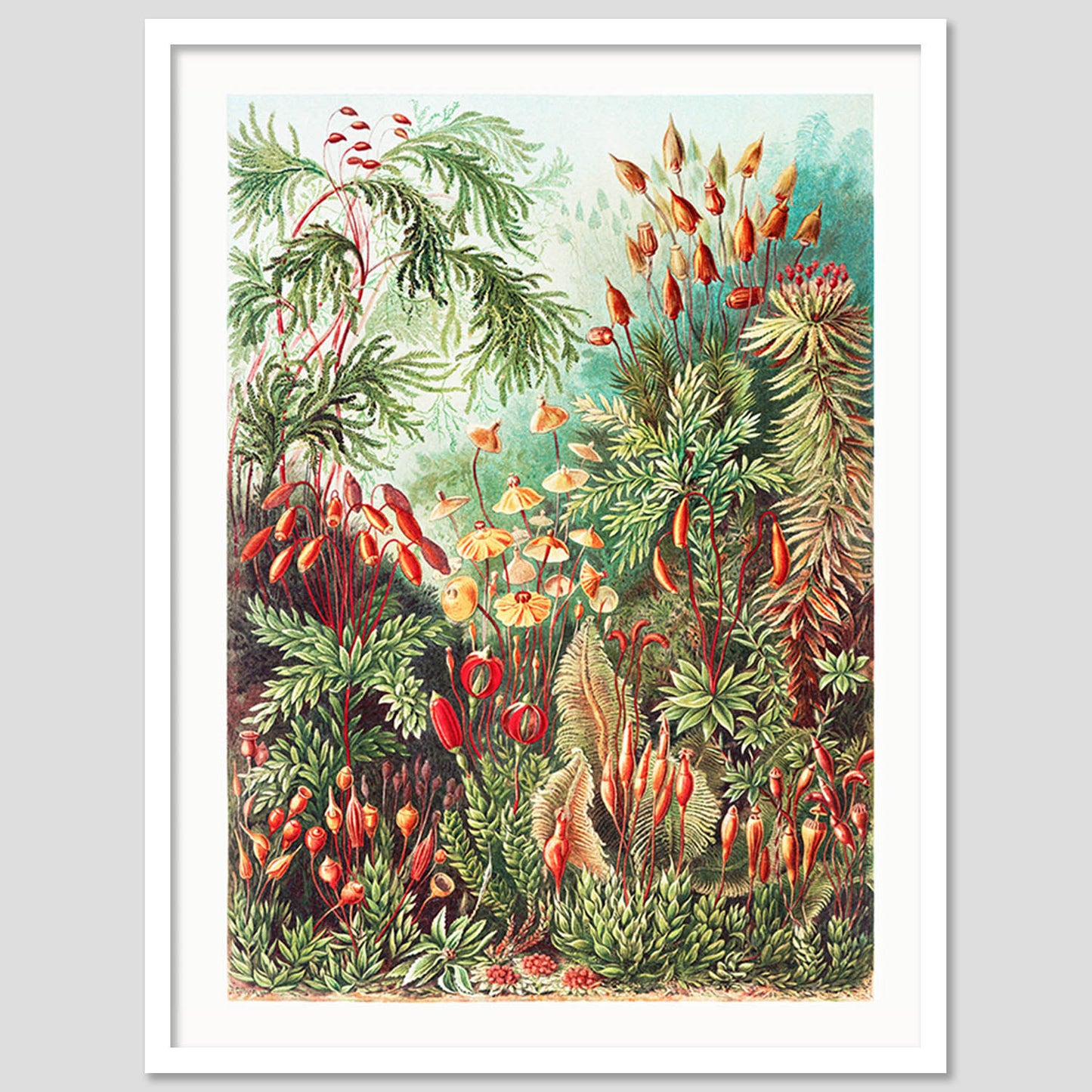 Nature Wall Art Paintings For Hanging Frame For Home Decor Living Room