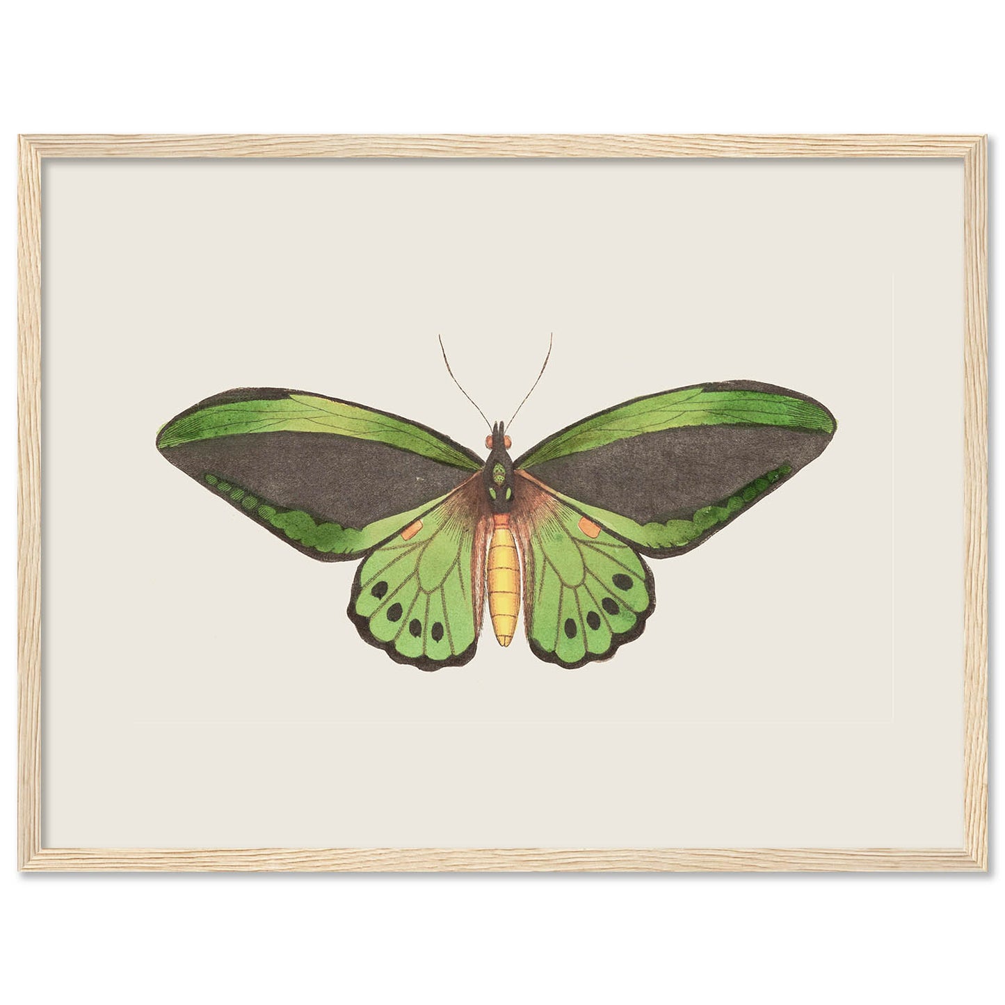 Butterfly Modern Wall Art Paintings Living Room Bedroom Home Art Posters