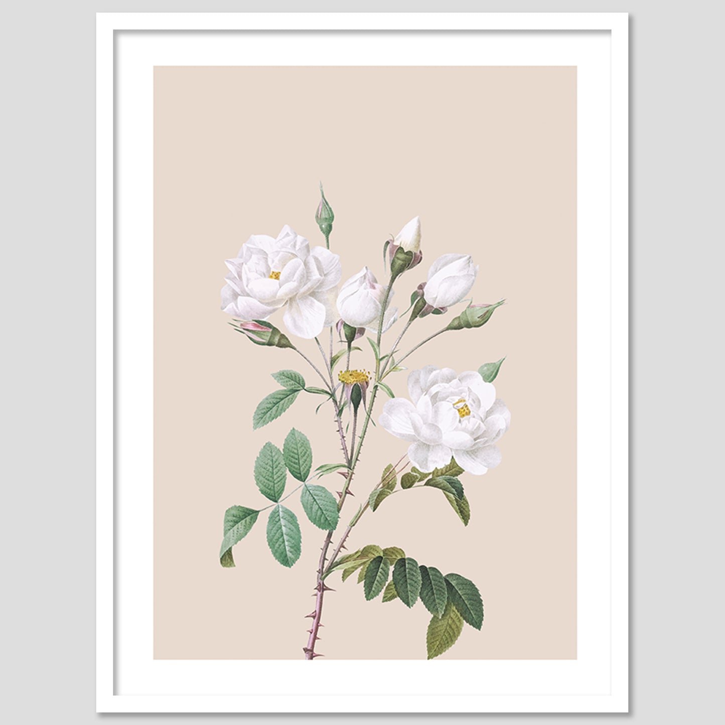 Natural Elegance: Sophisticated Framed Art for Modern Spaces