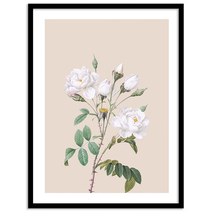 Natural Elegance: Sophisticated Framed Art for Modern Spaces