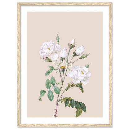 Natural Elegance: Sophisticated Framed Art for Modern Spaces