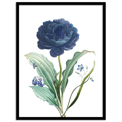 Delicate Floral Prints in Stylish Frames for Wall Artistry