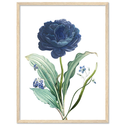 Delicate Floral Prints in Stylish Frames for Wall Artistry