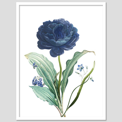 Delicate Floral Prints in Stylish Frames for Wall Artistry