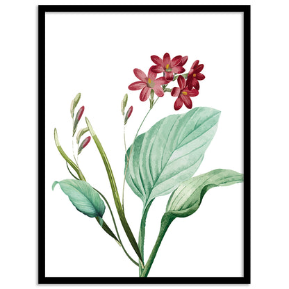 Vibrant Floral Framed Art for Home and Office Wall Decor