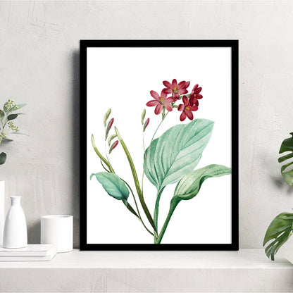 Vibrant Floral Framed Art for Home and Office Wall Decor