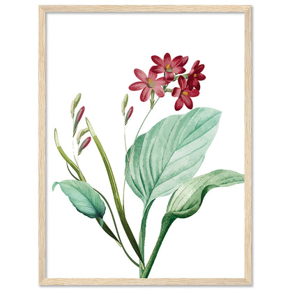 Vibrant Floral Framed Art for Home and Office Wall Decor