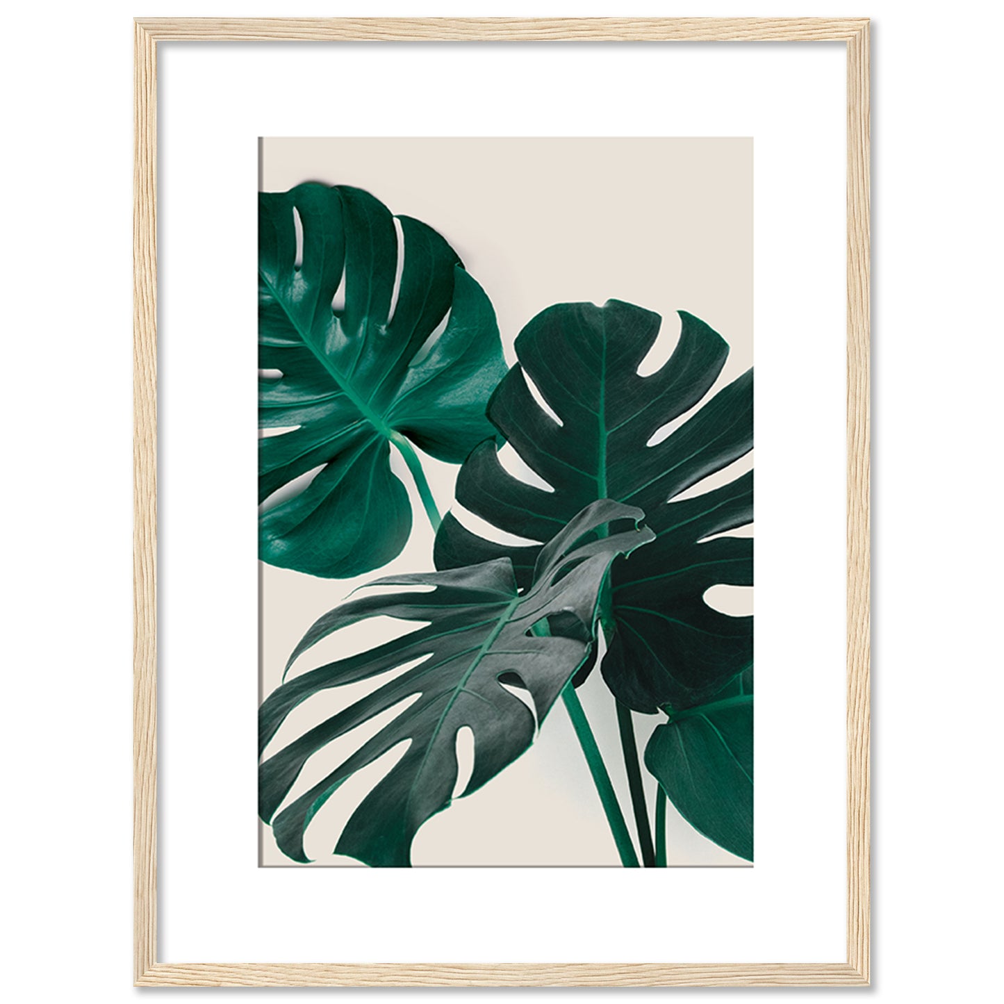 Nature's Muse: Inspiring Framed Art Posters for Creative Spaces