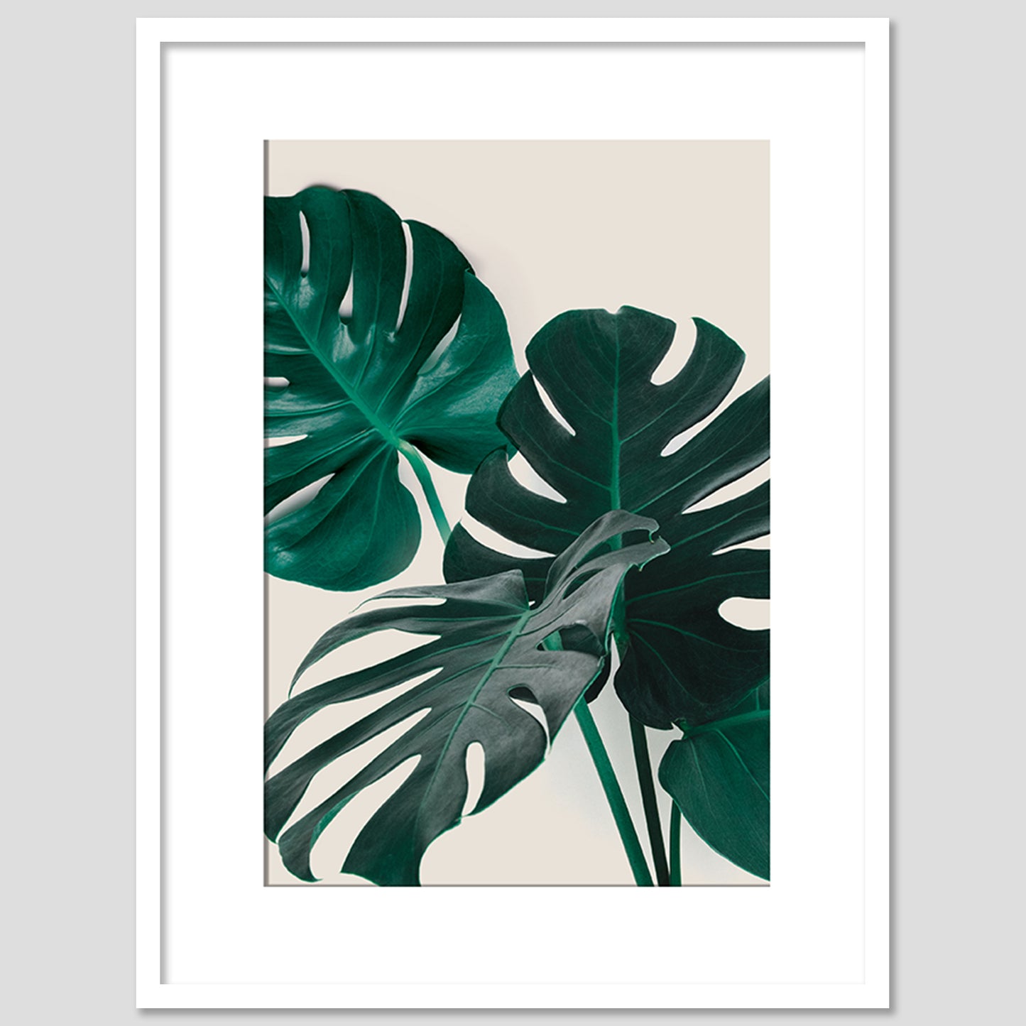 Nature's Muse: Inspiring Framed Art Posters for Creative Spaces