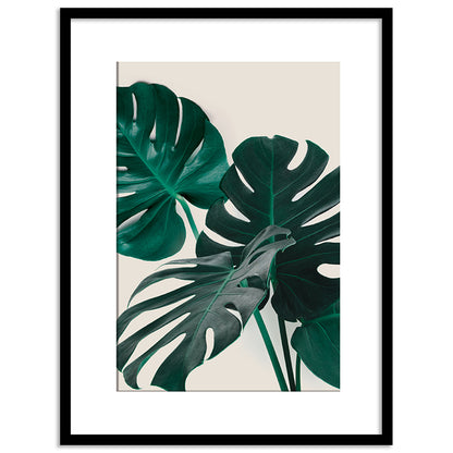 Nature's Muse: Inspiring Framed Art Posters for Creative Spaces