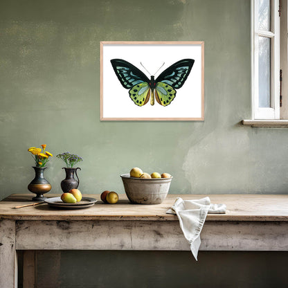 Butterfly Framed Wall Art Posters for Home and Office Wall Decor