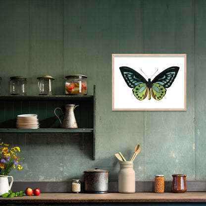 Butterfly Framed Wall Art Posters for Home and Office Wall Decor