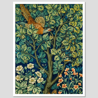 Nature Inspired Framed Art Posters for Home and Office Wall Decor