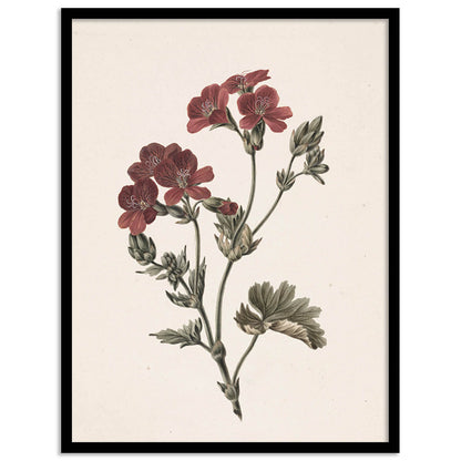 Floral Wall Paintings For Wall Decor Living Room Wall Frames