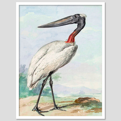 Jabiru Bird Wall Painting For Home Decor Wall Hanging