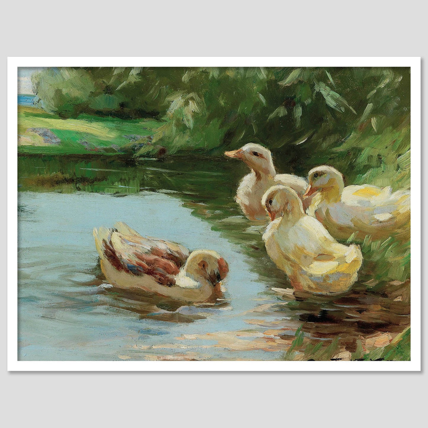 Ducks Wall Art Living Room Bedroom Home and Office Wall Decor Art Posters